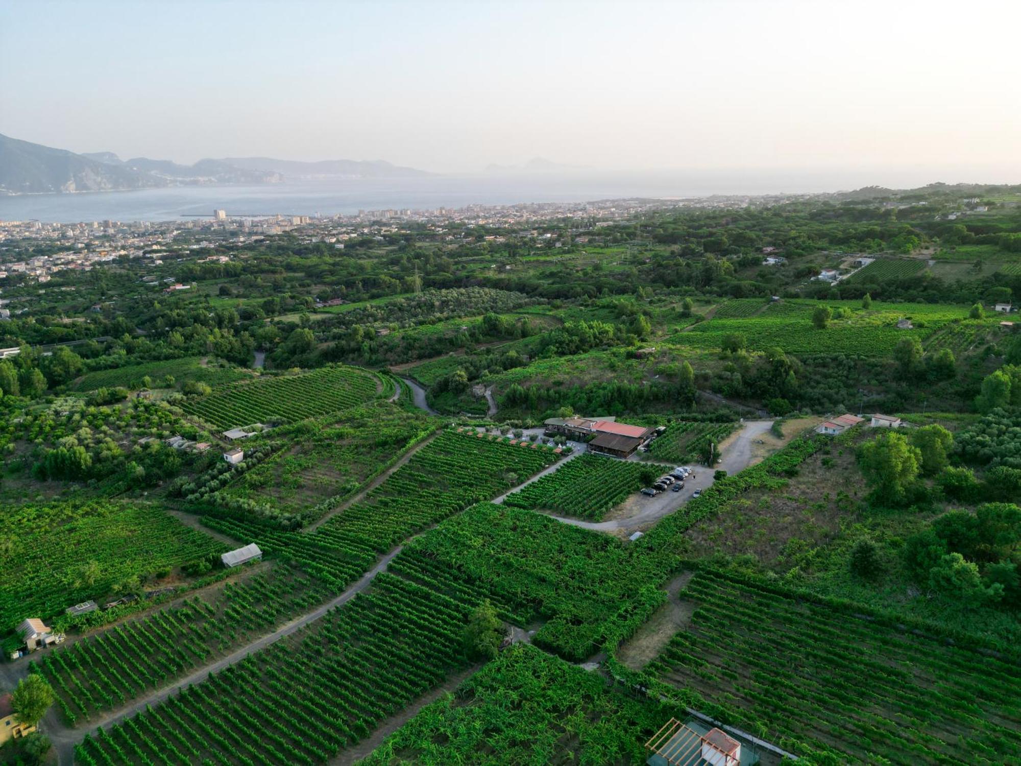 Vesuvio Inn Bed&Wine Experience Boscotrecase Exterior foto